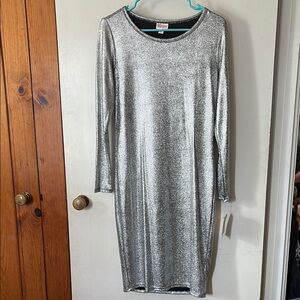 Silver Long Sleeve Dress
